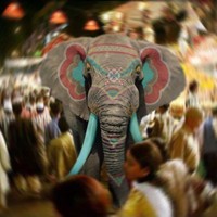 Портфолио Dani Miller